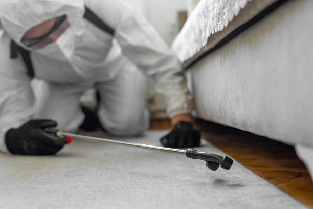 Professional Pest Control technician working in Agua Fria, NM