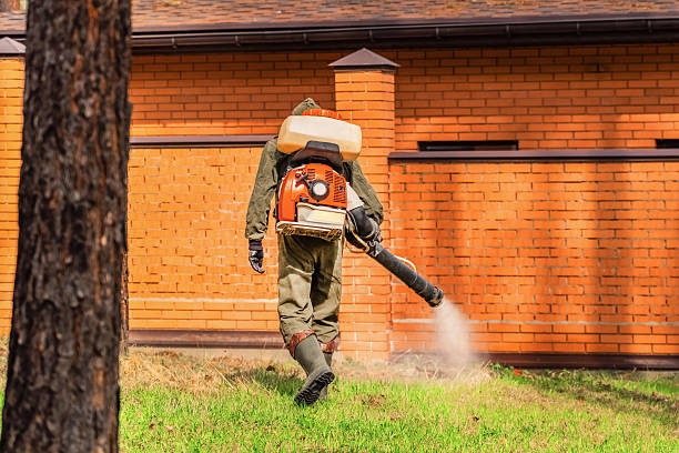 Trusted Mosquito Control service in Agua Fria, NM - Nex Pest Control